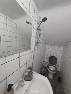 a bathroom with a toilet and a sink and a mirror at HANCHO - KAPANA CENTER PLOVDIV in Plovdiv