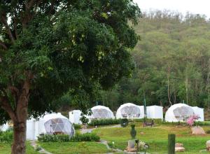 un grupo de cúpulas blancas en un cementerio con un árbol en NiNo San Glamping - Pak Chong, en Pak Chong