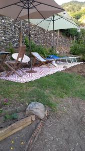 A garden outside Monterosso Apartments in Servano's Villas