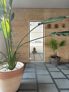 Foto dalla galleria di Thermes Oppidum a Theux