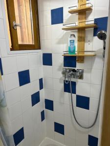 ein Bad mit einer Dusche mit blauen und weißen Fliesen in der Unterkunft Gîte : La Petite Grange in Valojoulx