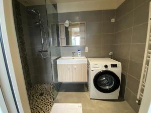 Un pequeño baño con lavadora y lavabo. en T2 centre ville avec vue imprenable, en Chambéry