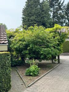 Zahrada ubytování Luxe en comfort aan bos - geniet van rust & natuur