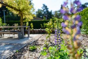 Zahrada ubytování Luxe en comfort aan bos - geniet van rust & natuur
