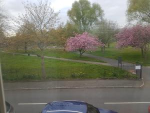 um carro estacionado em frente a uma cerca com árvores floridas em A Quiet & Comfortable 4 Bedroom house em Manchester