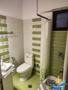 baño verde con aseo y ducha en Poseidon Hotel Karystos en Karystos