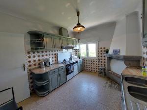 cocina con armarios verdes y fogones horno superior en Casa Azul Vales, en Penalva do Castelo