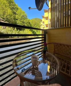 a glass table with a vase on a balcony at Forest View Apartment in Mavrovo