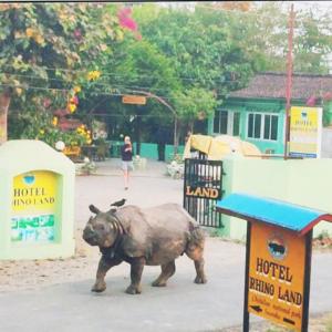 een neushoorn die midden in een straat staat bij Hote Rhino Land , Chitwan - Family Home in Chitwan