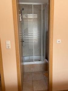 a shower with a glass door in a bathroom at Gemütliche Ferienwohnung Maurice mit Terrasse in Mariendorf