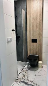 Ένα μπάνιο στο WW Warsaw Apartments