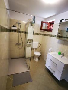 uma casa de banho com um chuveiro, um WC e um lavatório. em Holiday Home Cvitka em Vis