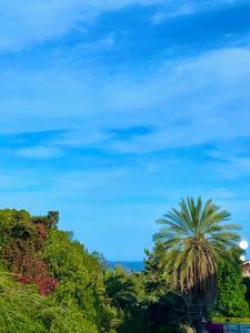 a palm tree with the ocean in the background at Beatrice's House in Catania