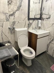 La salle de bains est pourvue de toilettes, d'un lavabo et d'un miroir. dans l'établissement Bellas apartmani, à Novi Sad