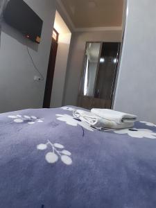 Postel nebo postele na pokoji v ubytování Akhaltsikhe hotel “Sunny House”