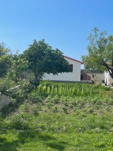 un campo de hierba con una casa en el fondo en Diarla's Home 1, en Fier