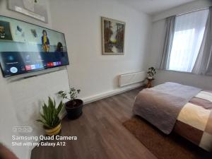 um quarto com uma cama e uma televisão de ecrã plano em Rose huisje em Antuérpia