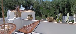 Mynd úr myndasafni af B&B Sperlonga í Mattinata