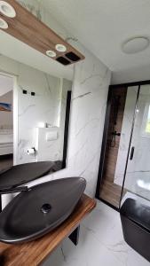 a bathroom with a sink and a shower at Apartments & rooms Velebit in Lovinac