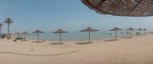 Chalet at Lasirena Mini Egypt Resort Ein Elsokhna Families Only في العين السخنة: مجموعة من المظلات على شاطئ مع المحيط