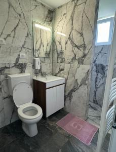a bathroom with a toilet and a sink and a mirror at Bellas apartmani in Novi Sad