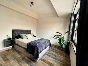 a bedroom with a bed and a potted plant at Acogedor retiro junto al mar in Cedeira