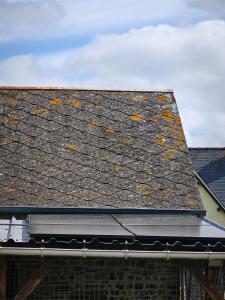 a roof of a house with leaves on it at Chambres Les Salles in Beauvoir