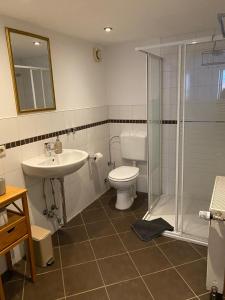 ein Bad mit einem WC, einem Waschbecken und einer Dusche in der Unterkunft Schloßbergwohnung Löwenhaus in Homberg