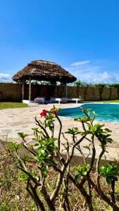 Der Swimmingpool an oder in der Nähe von Nyuso za Afrika