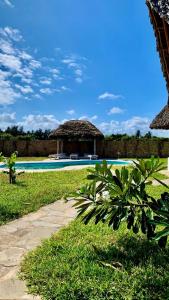 una piscina con sombrillas de paja y un complejo en Nyuso za Afrika en Watamu