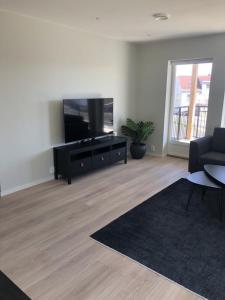 TV a/nebo společenská místnost v ubytování BREIM-new apartment in Ballstad #59