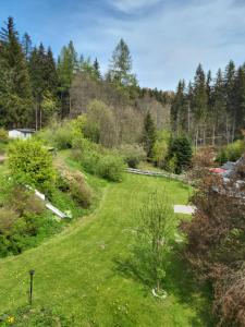 un campo verde con alberi sullo sfondo di Die Oberlochmühle PENSION a Deutschneudorf