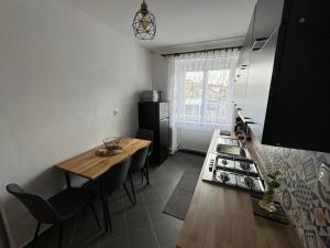 Kuchyň nebo kuchyňský kout v ubytování Apartmán u Šenků