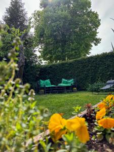 zieloną ławkę w ogrodzie z żółtymi kwiatami w obiekcie Las Palmas w mieście Bysławek
