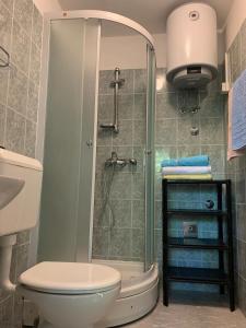 La salle de bains est pourvue d'une douche, de toilettes et d'un lavabo. dans l'établissement Captain's House, à Baška Voda