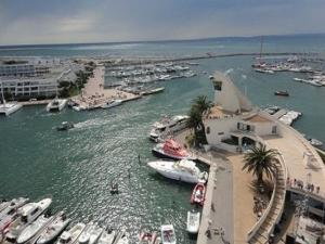 un grupo de barcos están atracados en un puerto en Appartement Le Grau-du-Roi, 3 pièces, 6 personnes - FR-1-731-63, en Le Grau-du-Roi