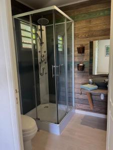 bagno con doccia in vetro e servizi igienici. di Lodge le jardin créole a Bras-Panon