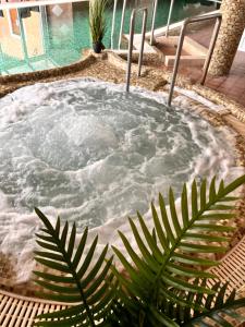 Afbeelding uit fotogalerij van Phoenix Spa Apartman House in Hévíz