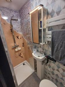 a bathroom with a shower and a toilet and a sink at Le studio 2 F in Ault