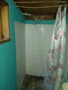y baño con cortina de ducha en la pared de azulejos. en Berkey's Jungle Paradise Resort en Roseau