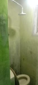 baño con aseo en una habitación verde en Javalindra Homestay Tour and Travel, en Banyuwangi