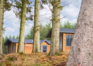 a log cabin surrounded by trees at Thirlestane Woodland Lodges in Lauder