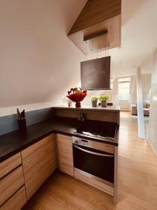 Kuchyň nebo kuchyňský kout v ubytování Apartmán VALORI - 100m2