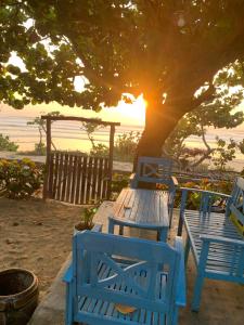 een groep blauwe banken die onder een boom zitten bij nhà Ba cơm Má in Phương Phi