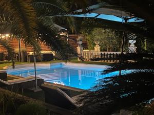 una piscina en un patio con una palmera en Le Mas de l'Alliance - 12 p - Air Cond - private Pool - near Grignan, en Roussas