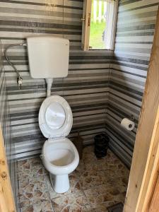 a toilet in a small bathroom with striped walls at Katun Lanista-Kolibe Bogavac in Mojkovac