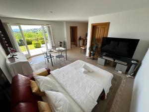 Μια τηλεόραση ή/και κέντρο ψυχαγωγίας στο Lakeview Apartment-Lavaux