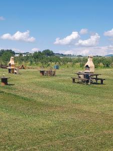 a group of picnic tables in a field at Agriturismo Il Cipresso in Vada
