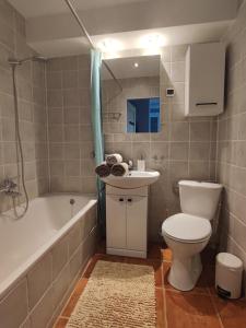 ein Badezimmer mit einem WC, einem Waschbecken und einer Badewanne in der Unterkunft Apartament widokowy z tarasem Bukowa Wisła in Wisła