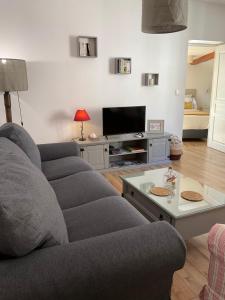 a living room with a couch and a tv at Villa Colonna Appartements in Manosque